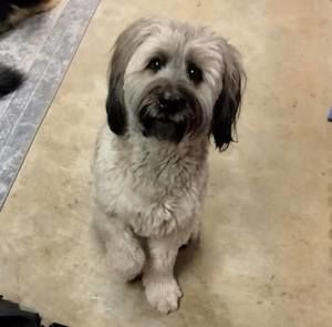 Meet your Posher, Denise